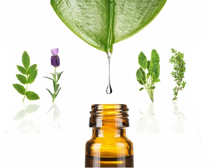 精油芳療療法是什麼？從芳香挑選開始一起重啟你的身心平衡！