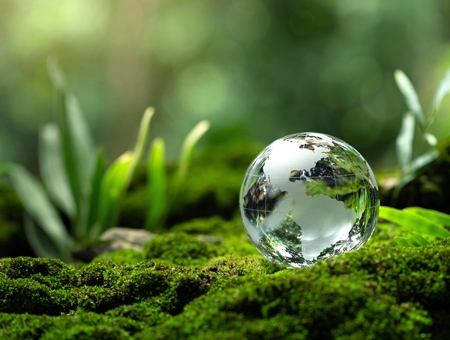 實踐環保的方法有哪些？參與永續行動生活與環境發展就從現在