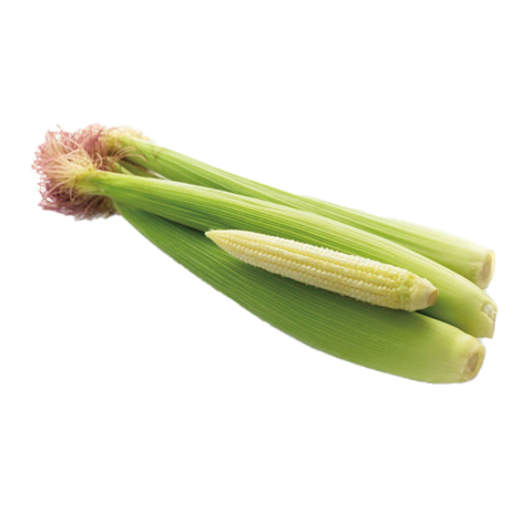 有機玉米筍