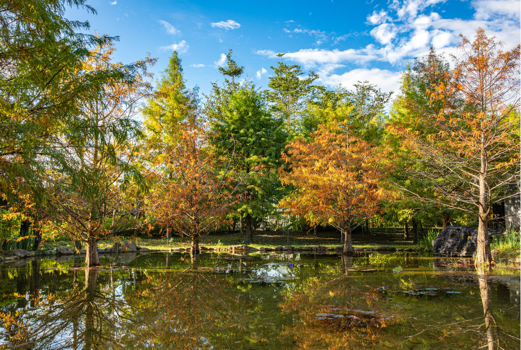 從山林到溫泉，這樣規劃你的療癒系假期最剛好！