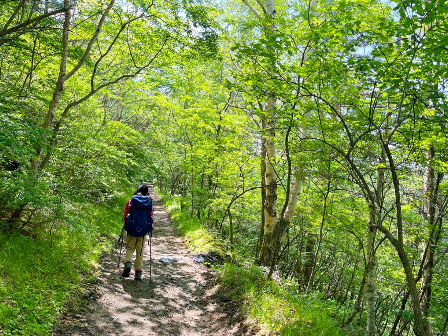 花蓮登山步道推薦