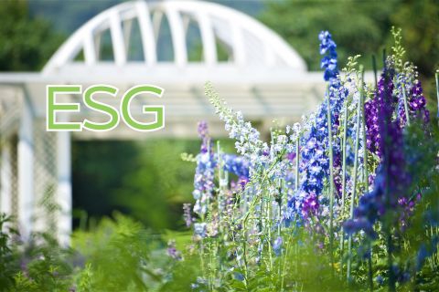 【ESG專案】減碳存摺假期