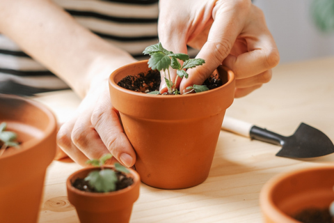 Recreational Center: Activity Overview (Please Reserve in Advance)