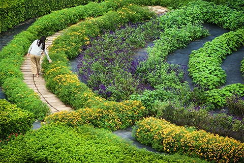 七感療癒秧悦之最，找回我的香氣密碼 | 二泊三食