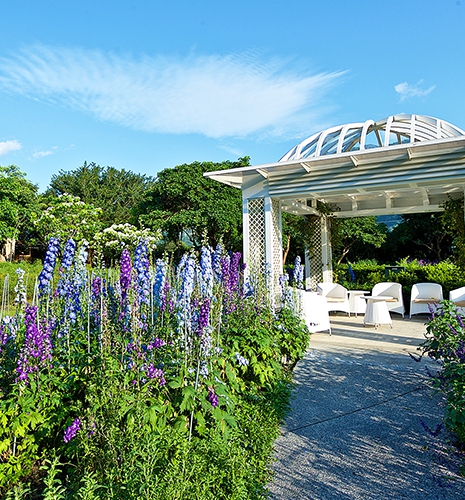 Herb Garden