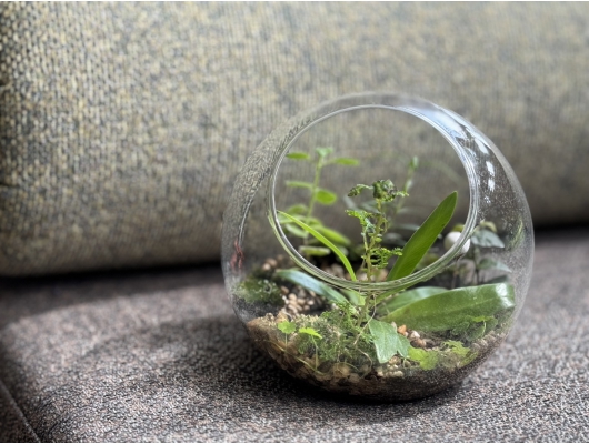 生命奇蹟-香草生態缸