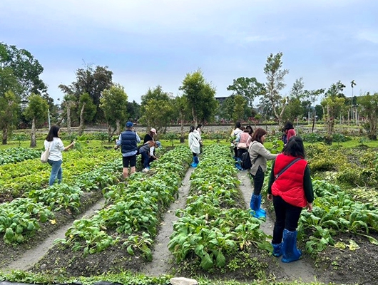 悦畝田活動體驗-我種你吃 你種他吃