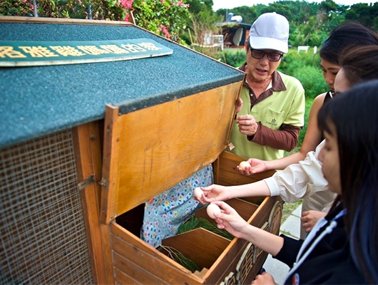 有機香草園區導覽及Gaea格雅雞介紹