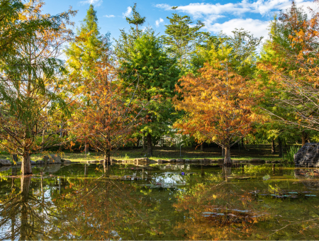 花蓮必去景點懶人包:一篇文章了解推薦景點及交通行程怎麼排!