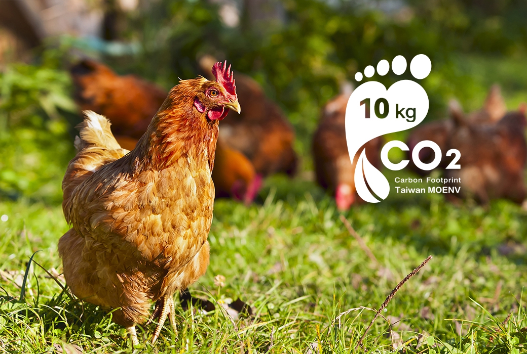 【永續實踐】最低碳的雞