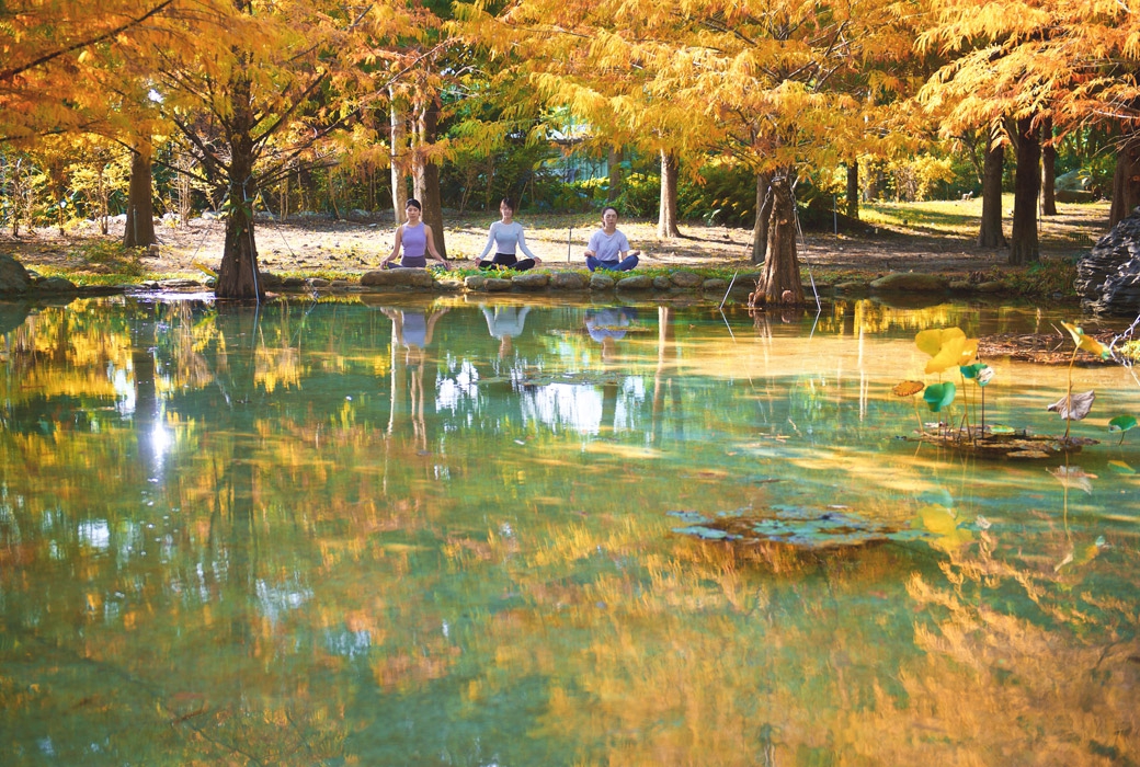 身心灵平衡旅行